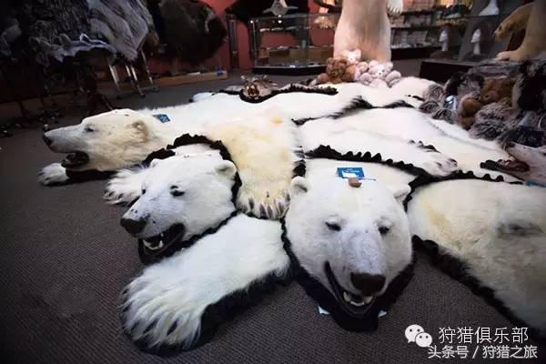 全球最具吸引力的狩猎圣地，加入高人一等的国际猎人组织！