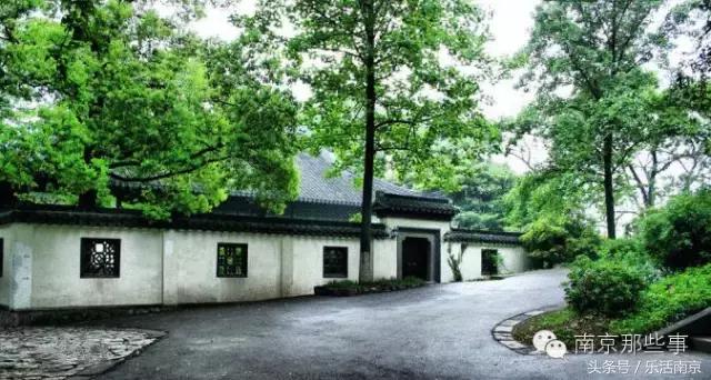 南京梅花赏花游记,好玩的摘草莓胜地打卡