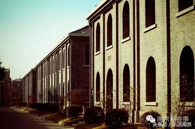 南京梅花赏花游记,好玩的摘草莓胜地打卡