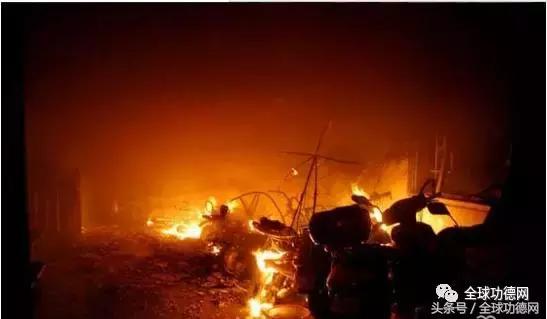 感动中国以人为本,感动中国简要事迹