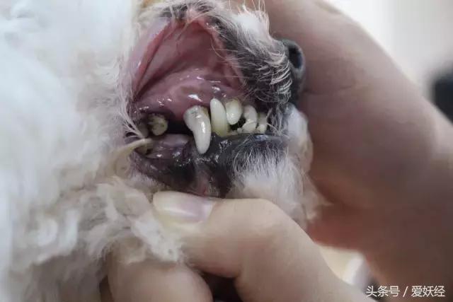 瓒呭０娉㈡礂鐗欑鍣ㄧ湡鐨勫ソ鐢ㄥ悧,瓒呭０娉㈡礂鐗欑鍣ㄩ潬璋卞悧