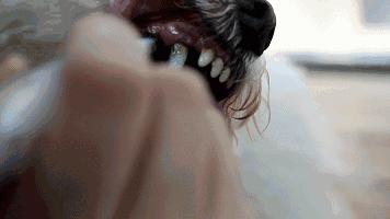 瓒呭０娉㈡礂鐗欑鍣ㄧ湡鐨勫ソ鐢ㄥ悧,瓒呭０娉㈡礂鐗欑鍣ㄩ潬璋卞悧