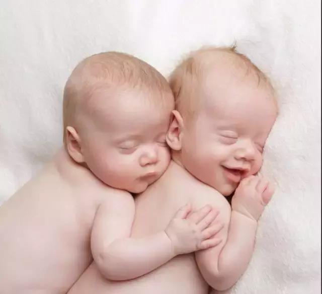 奶粉荷兰原装的有哪些,奶粉荷兰进口的怎么样