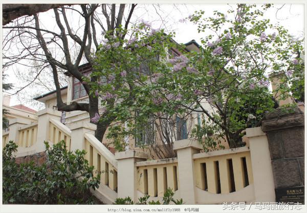 红瓦绿树的青岛八大关，这才是鲜明的青岛色彩