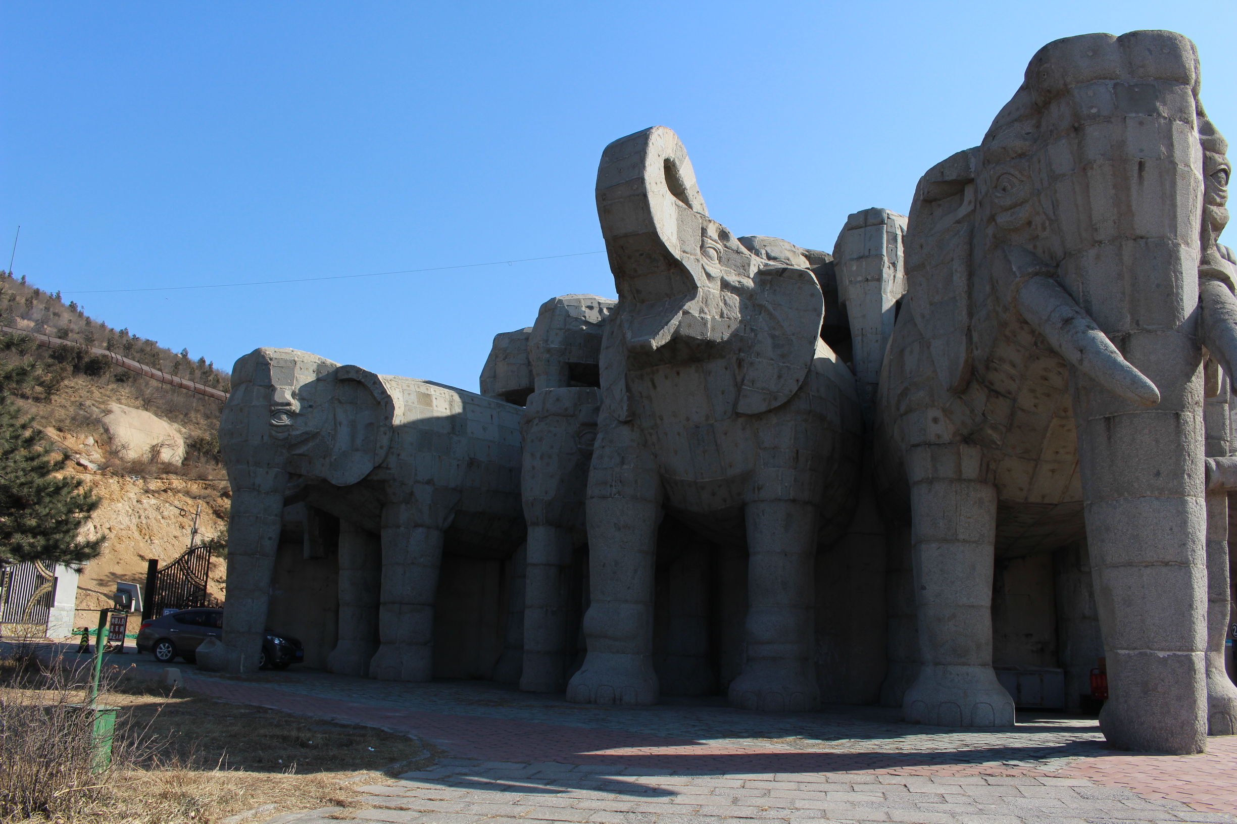 带你一起游北京,大兴野生动物园和八达岭哪个好玩