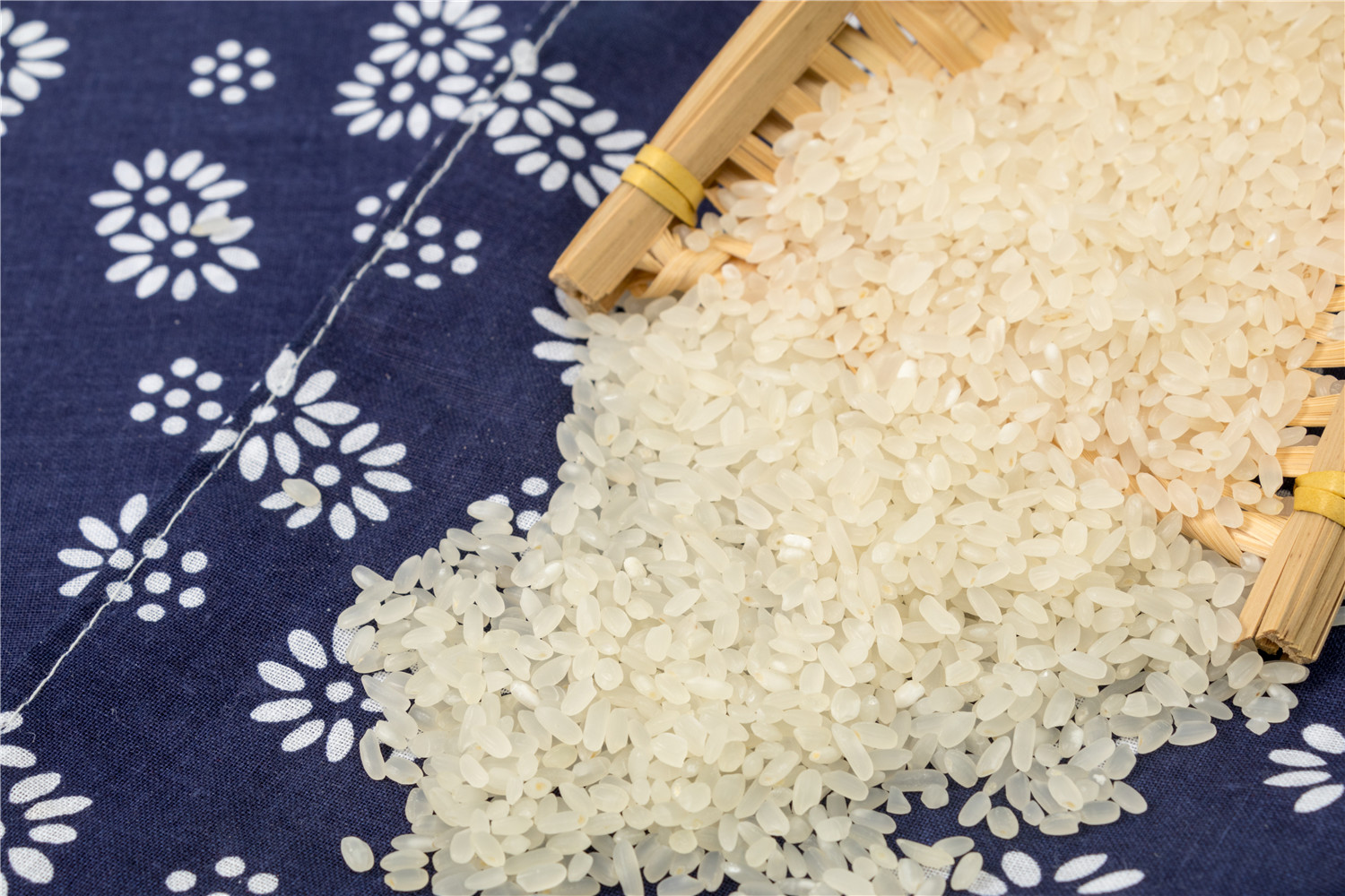 日本的西瓜为什么500块一个,日本方形西瓜是怎么种出来的