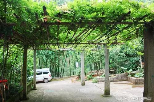 柳州附近农庄适合小孩玩,柳州周边农庄场地推荐