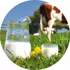 西班牙奶粉,西班牙奶粉什么档次