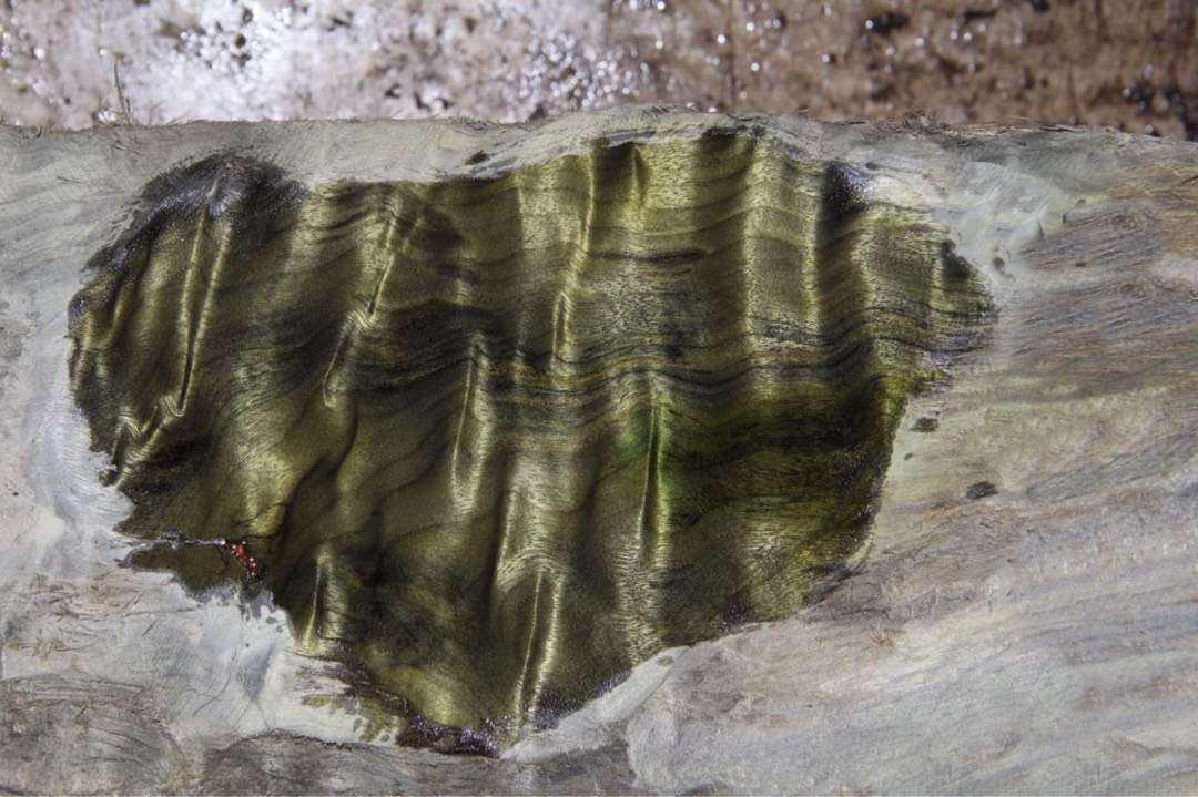 金丝楠木吉他价格,一把吉他进价400