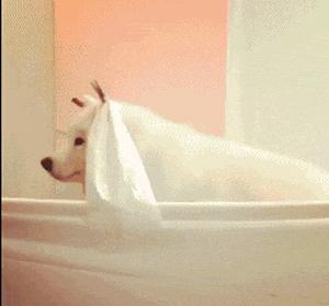 这就是朋友和闺蜜的区别,好朋友和死党区别