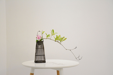 考研推荐书目要看最新版的吗,计算机408考研资料推荐