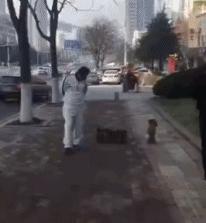 高考以后综合评价,高考完查成绩怎么样