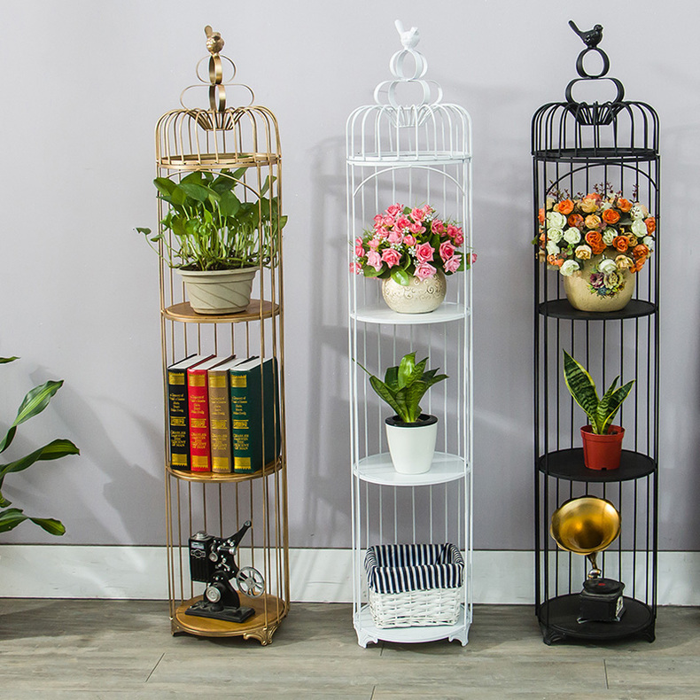 适合放大花的花架有哪些,花架用什么花比较好