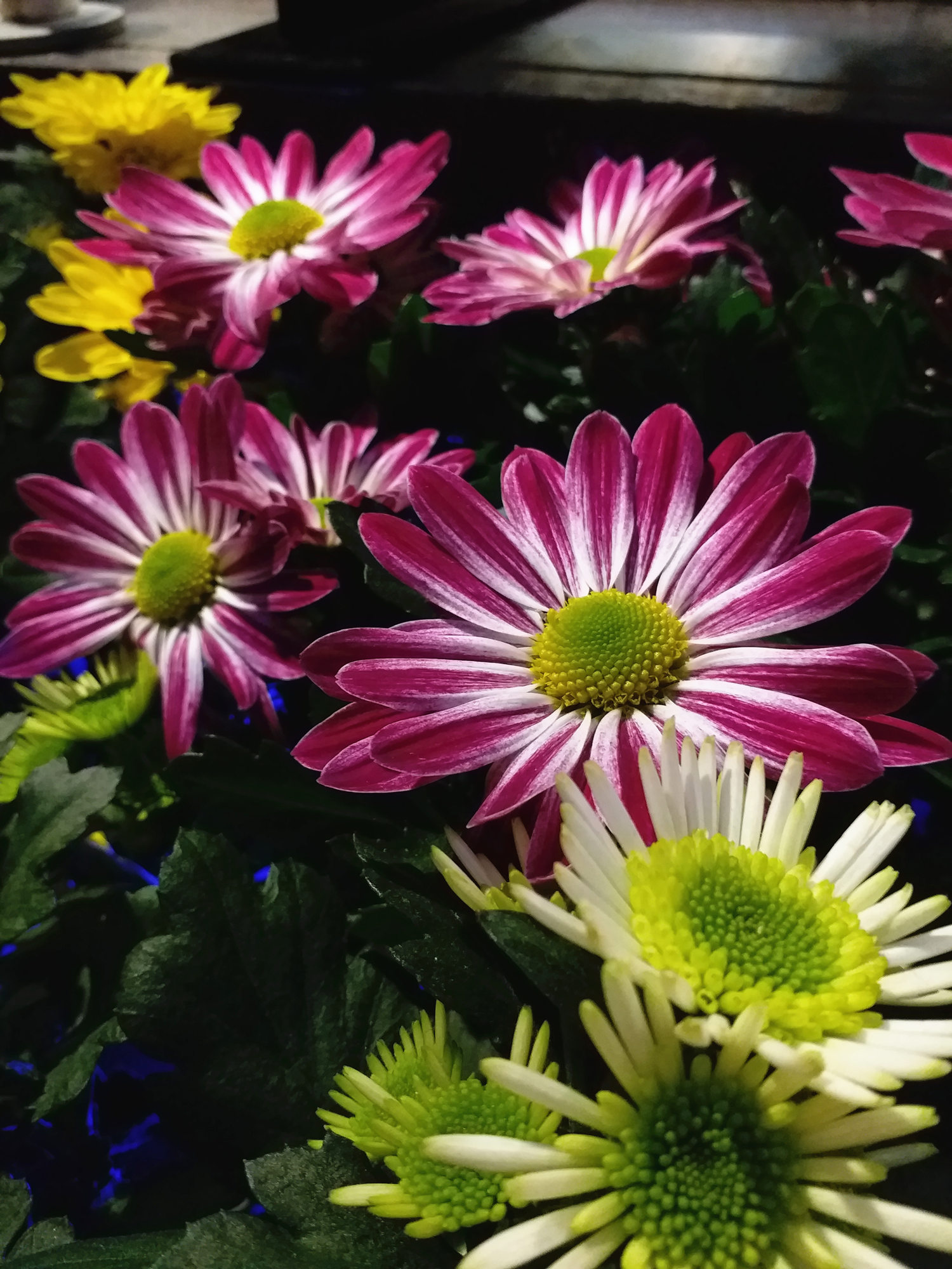 三星galaxyc7pro什么时候出的,三星galaxyc7pro什么价格