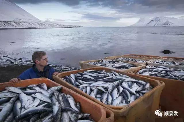天下渔仓有机鱼,天下渔仓椒江店地址