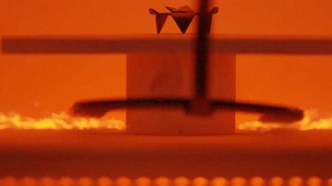 传承微绘艺术，成就稀世典藏