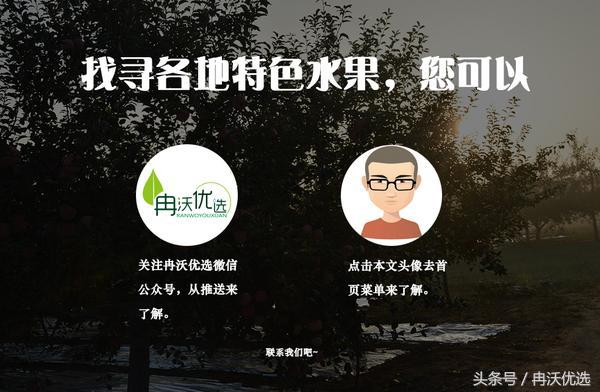 河南特色水果图片,豫西特产灵宝大枣价格