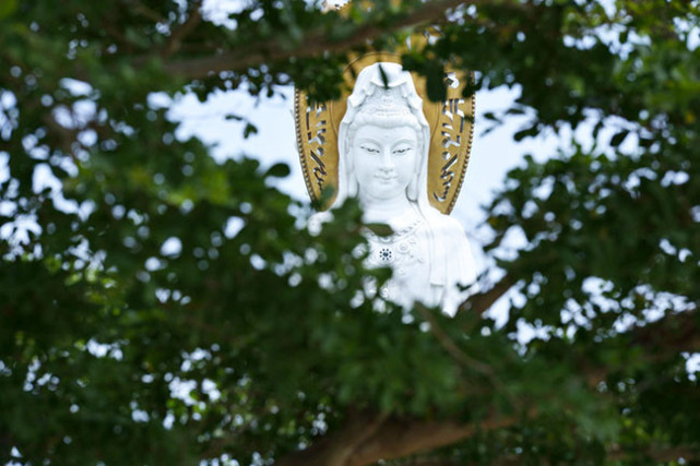 一次说走就走的旅游海南三亚,一次说走就走说回就回的旅行