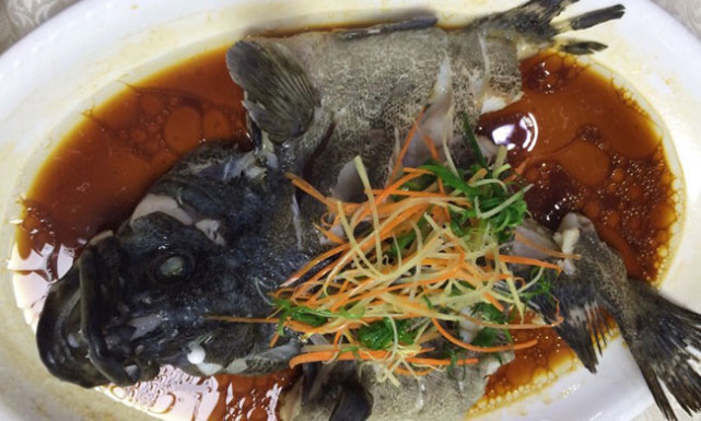 一次说走就走的旅游海南三亚,一次说走就走说回就回的旅行