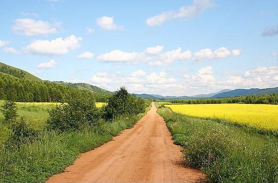 初中女孩放学路上被拖上车,小女孩放学回家遭两男子绑架