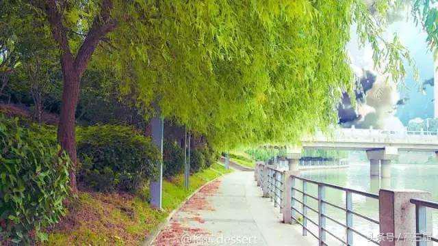 广州黄埔最大的学校,中国最牛的学校黄埔军校