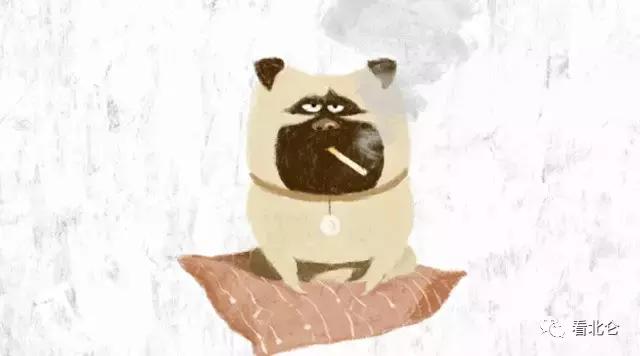 一辈子太长婚姻不能将就 (余生太长我不愿将就文案)