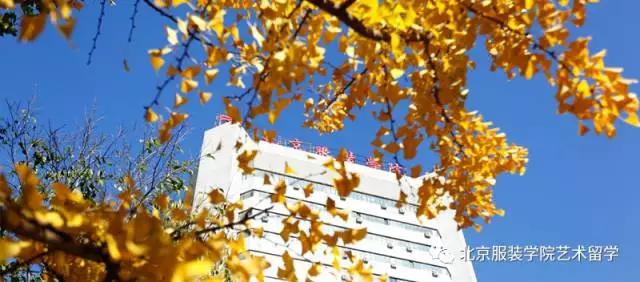 北京服装学院中外合作办学,北京服装学院与国外合作院校