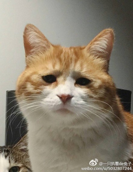 男子买错机票班次改签,男子误抢特价机票后退票