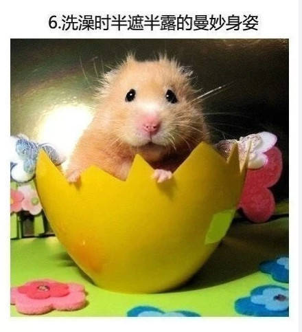 男子买错机票班次改签,男子误抢特价机票后退票