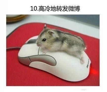 男子买错机票班次改签,男子误抢特价机票后退票