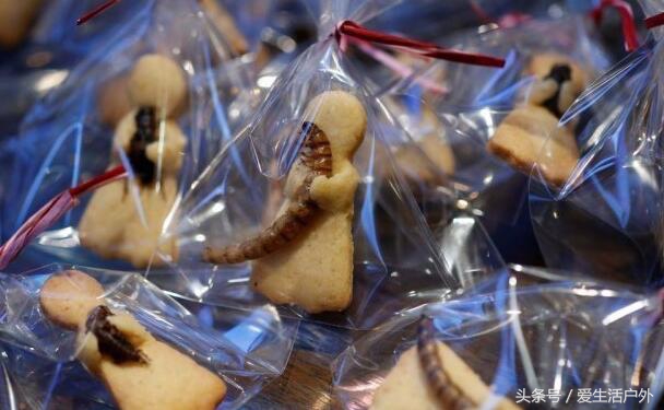 你见过用蟑螂面包虫等做的高级西餐和酒水吗？最后一个口味太重了