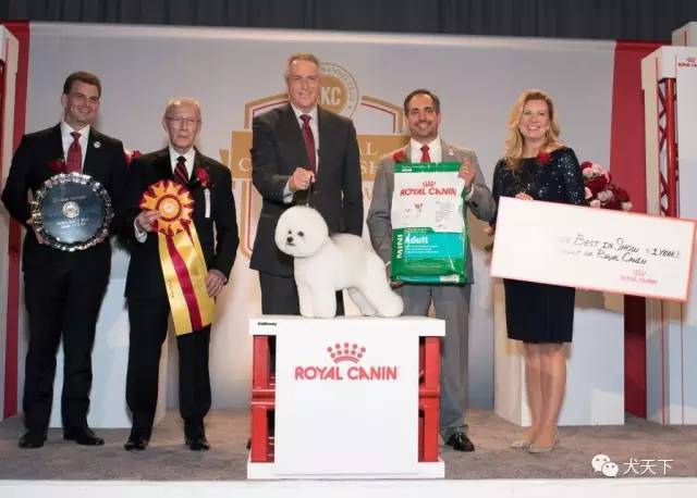 德牧登顶！BIS视频！世界第一犬展2017西敏寺赛果总汇