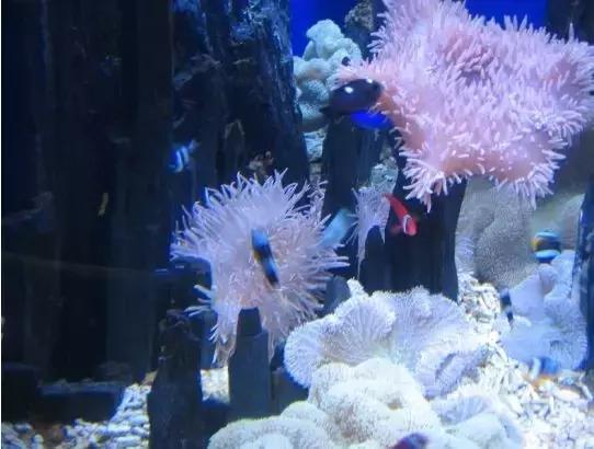 澶ц繛涓栦簨娌ф,澶ц繛鑺濇牴鑺濆簳