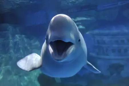 澶ц繛涓栦簨娌ф,澶ц繛鑺濇牴鑺濆簳