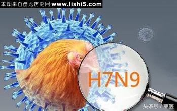 禽流感最典型病例变化,禽流感的主要传播途径