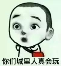 陶虹面膜好用吗,张庭陶虹活酵母面膜