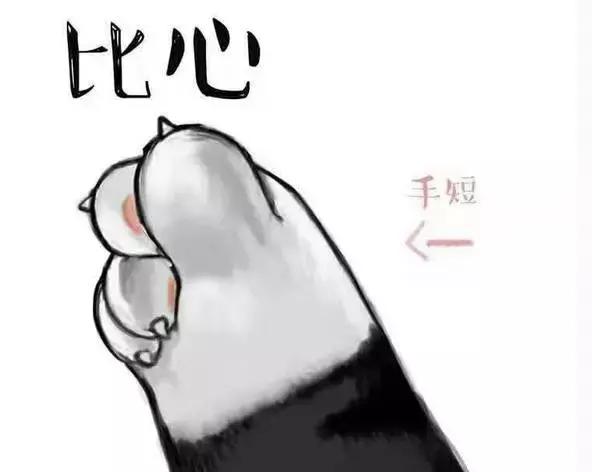 陶虹面膜好用吗,张庭陶虹活酵母面膜