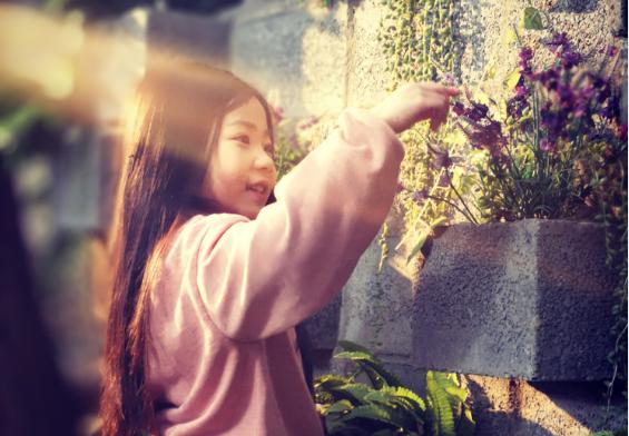 京华合木德培幼儿园小班下学期,京华合木德培幼儿园濮阳