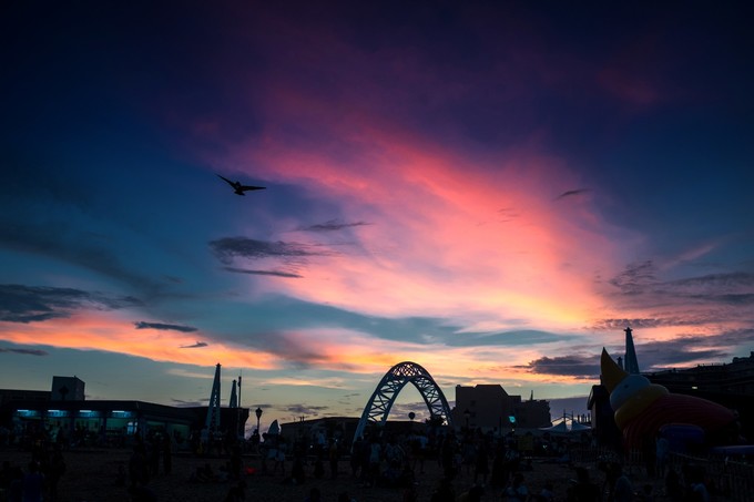 论一个吃货的自我修养小说,论一个吃货的自我修养