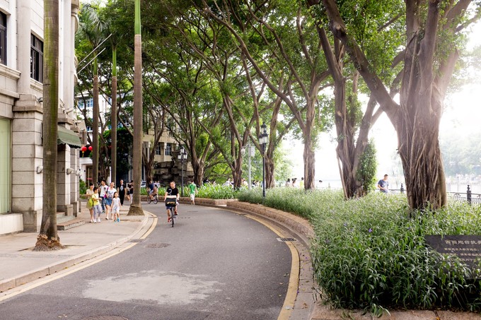 论一个吃货的自我修养小说,论一个吃货的自我修养