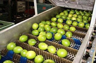 首创炸鸡配柠檬,德克士的这颗柠檬到底有多厉害