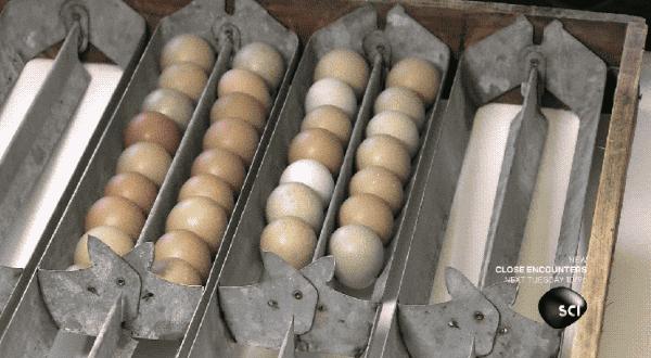 说出来你可能不信我是什么意思,说出来你可能不信是什么意思