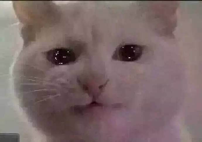 都在催谢娜当妈!没想到她早已练好带娃秘籍