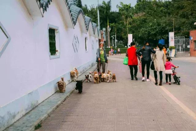 西乡县各乡镇的故事,西乡有什么故事