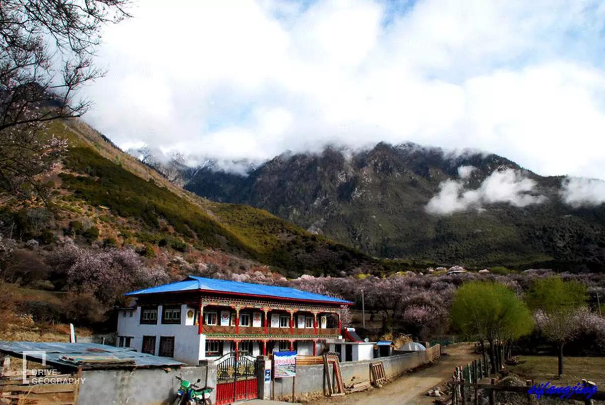 连联合国都赞不绝口的百里桃花,你真的不带她看一下吗?