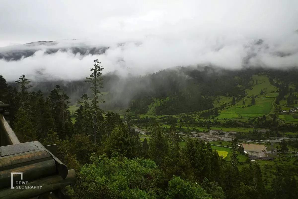 连联合国都赞不绝口的百里桃花,你真的不带她看一下吗?