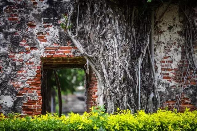 台南必吃的12道美食,台南美食哪里最好吃