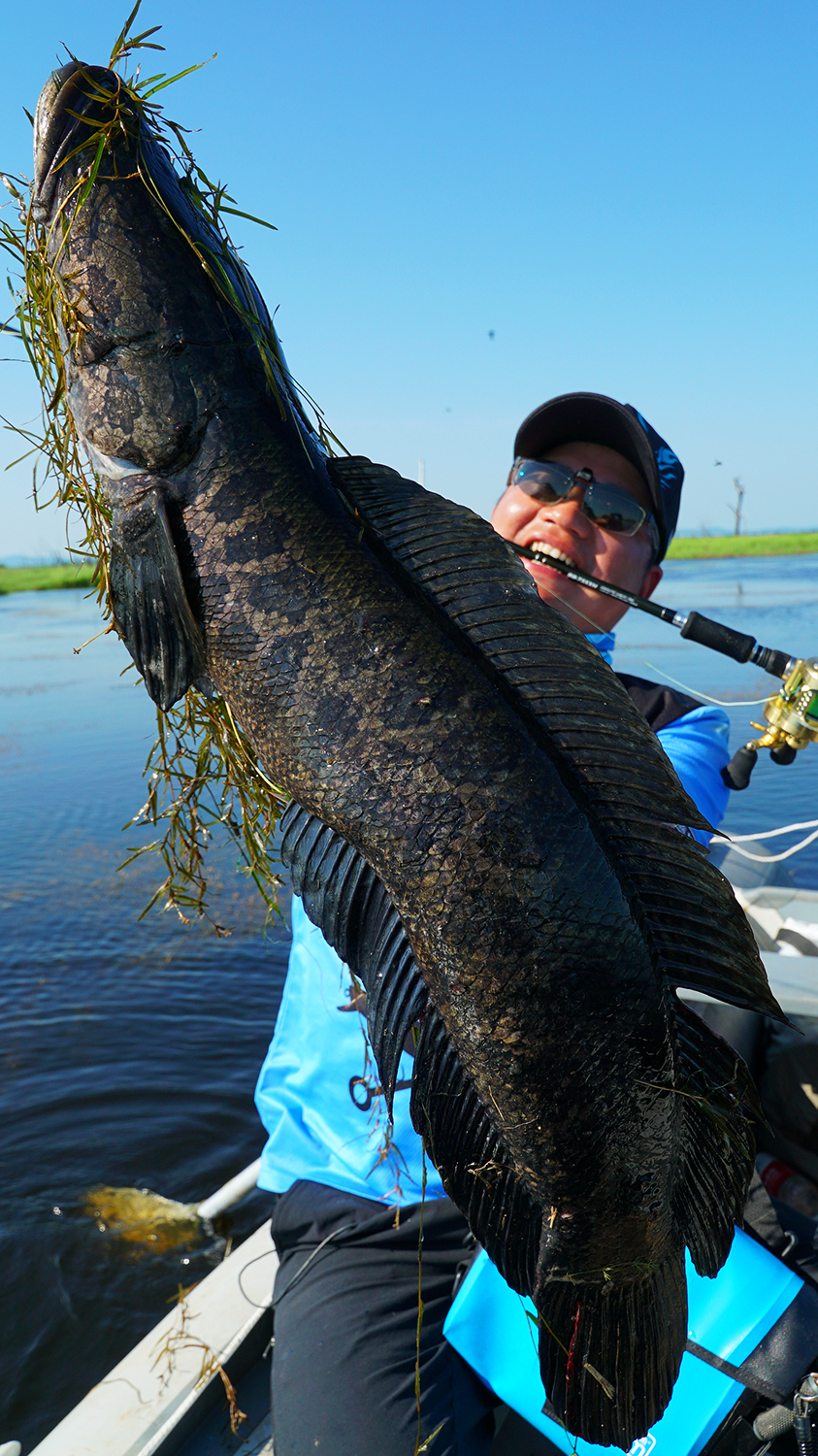 钓鱼就是享受不同种类的鱼,不一样的食肉鱼