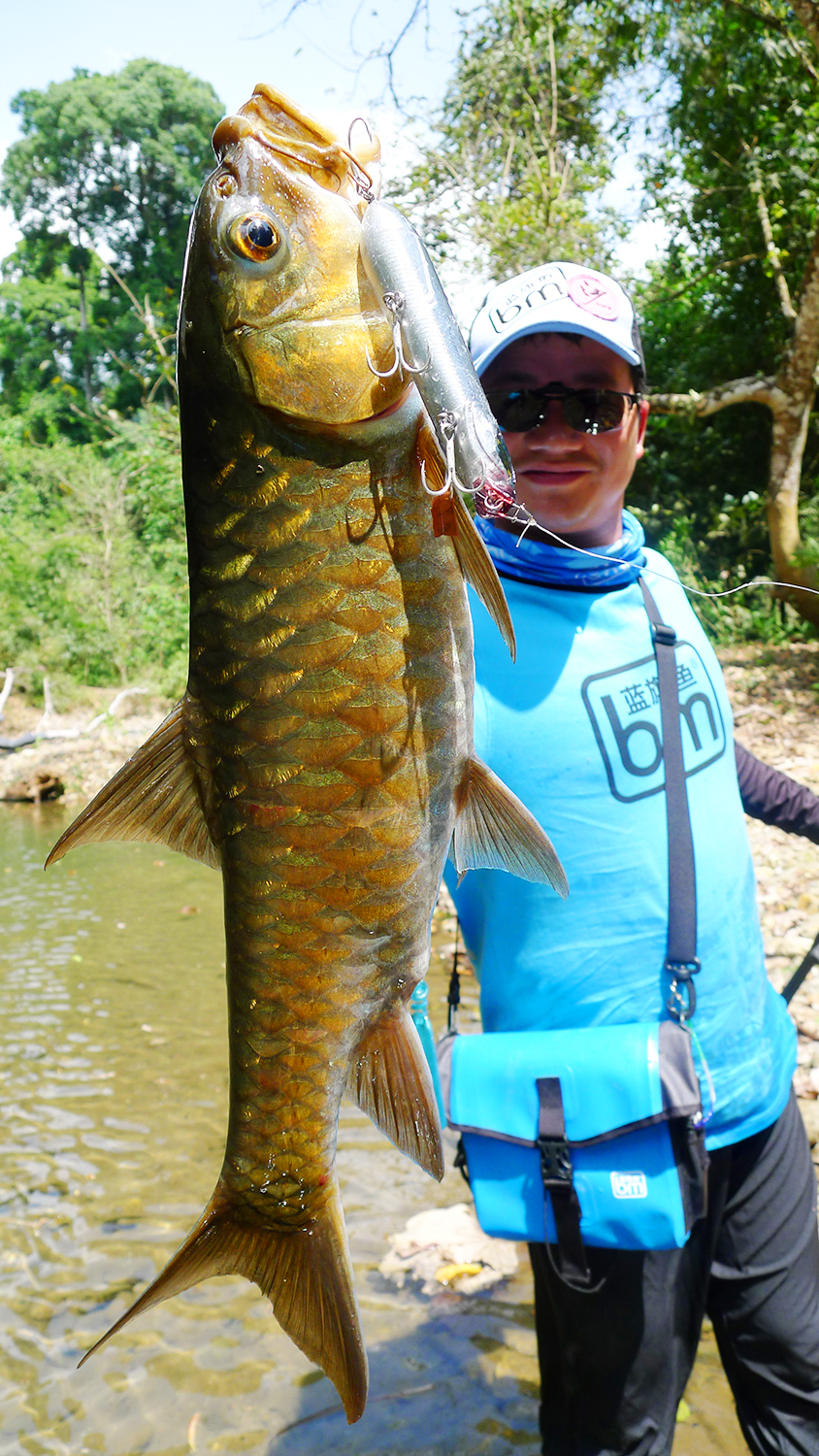 钓鱼就是享受不同种类的鱼,不一样的食肉鱼