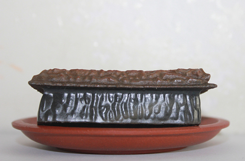 珍馐佳肴饕餮宴,珍馐佳肴宴宾朋